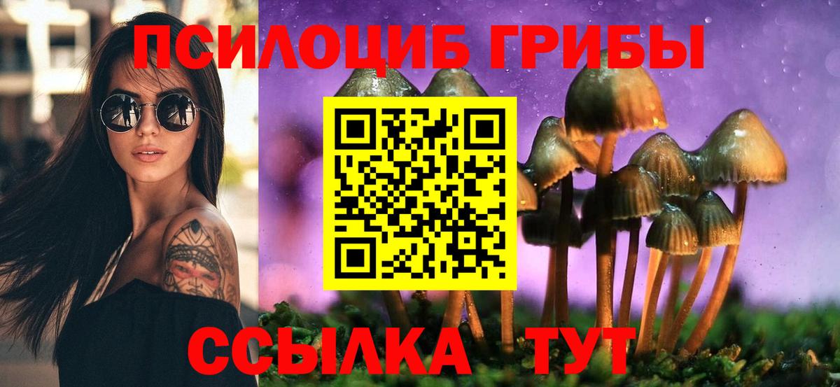 Псилоцибиновые грибы Psilocybe  Вход с VPN  Отрадное 